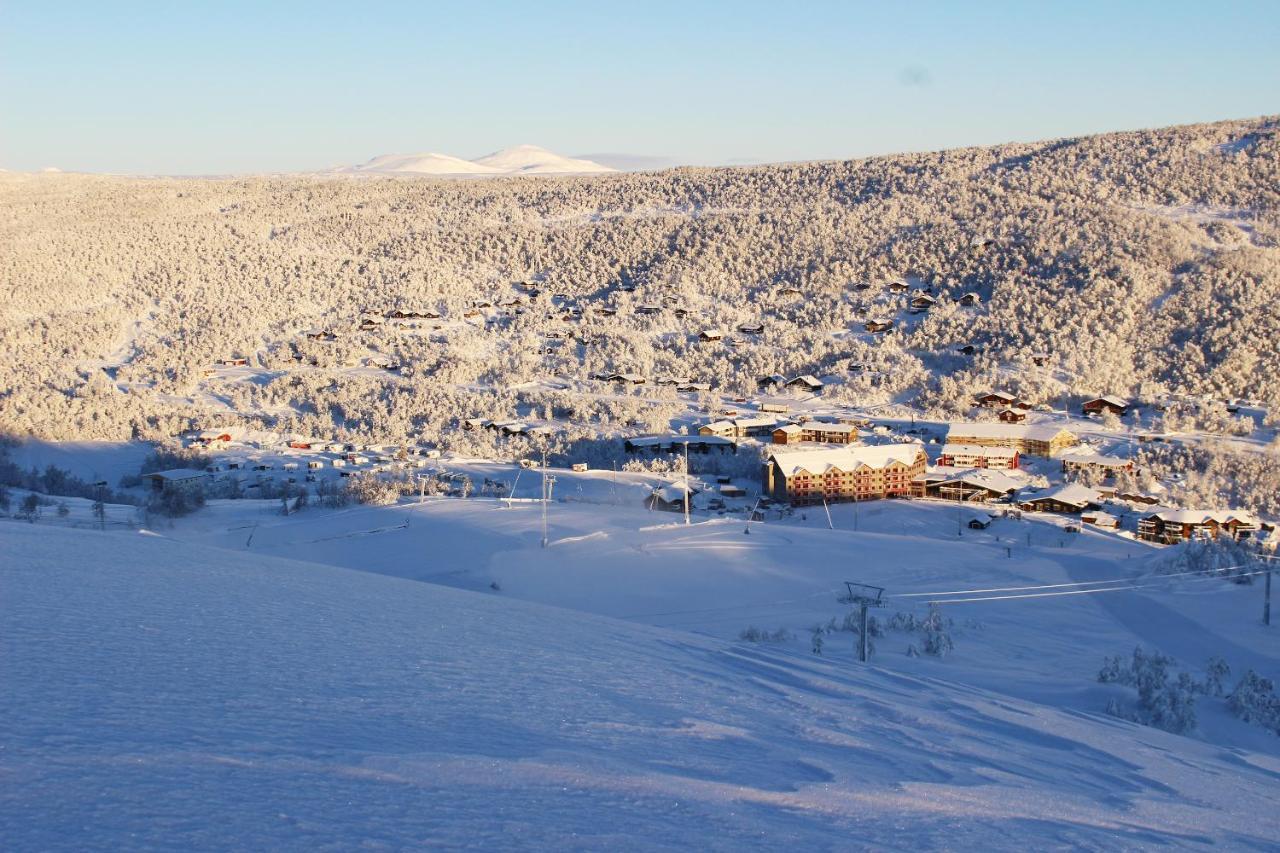 Ski Lodge Taenndalen Dış mekan fotoğraf